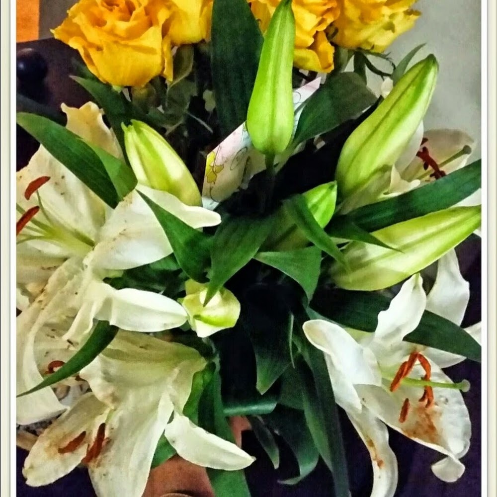 Meet your Posher, Maria